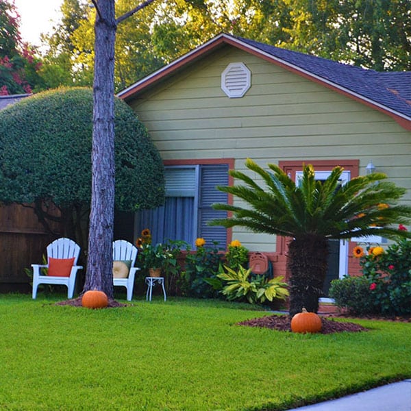 house with outdoor space