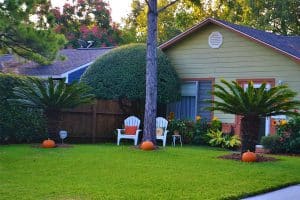 serene and well-kept garden