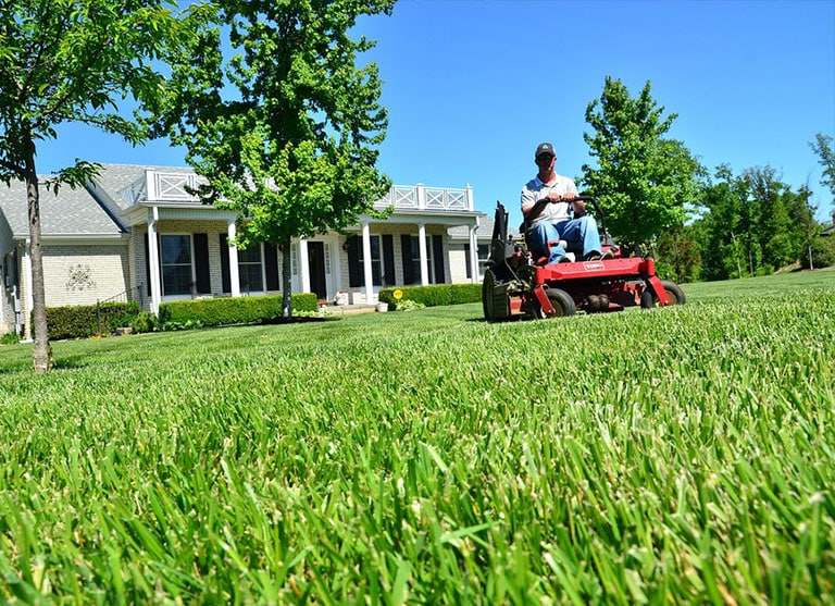 How Garden Maintenance Promotes Healthy Plant Growth in Your Backyard