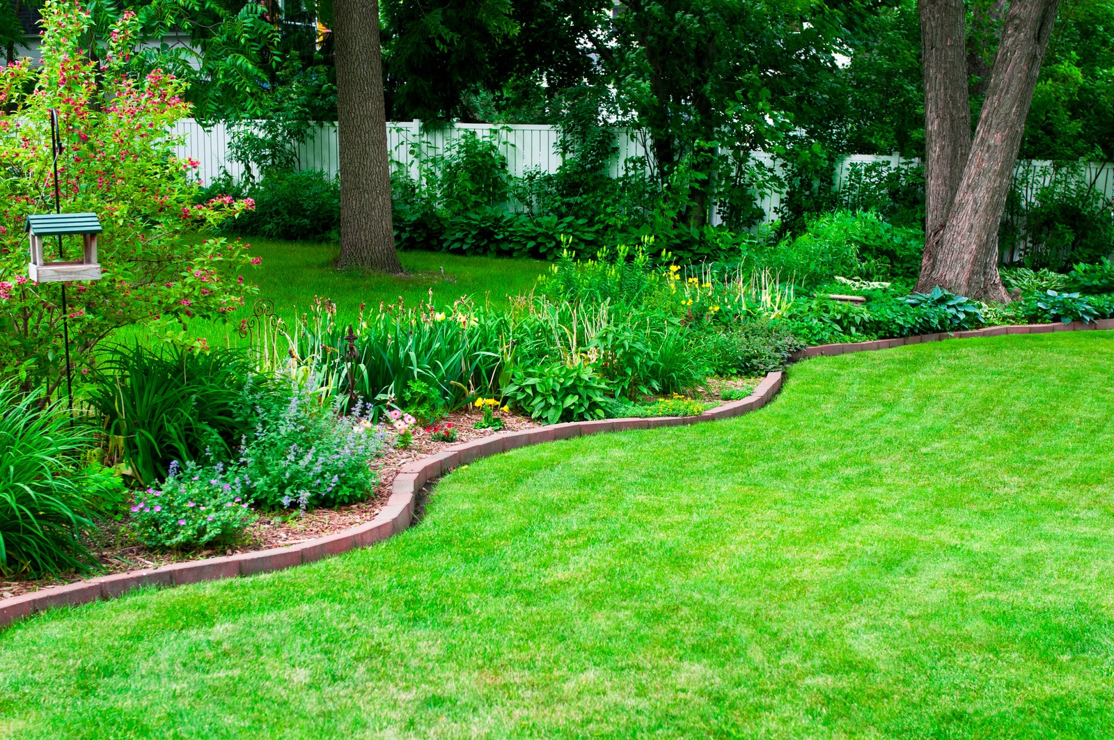 Key Signs of Poor Lawn Care Homeowners Should Never Ignore