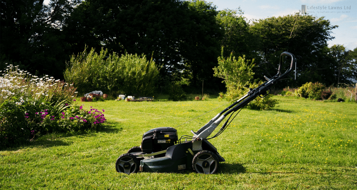 Lawn mowing cost in Auckland seasonal guide with a mower on a garden lawn.
