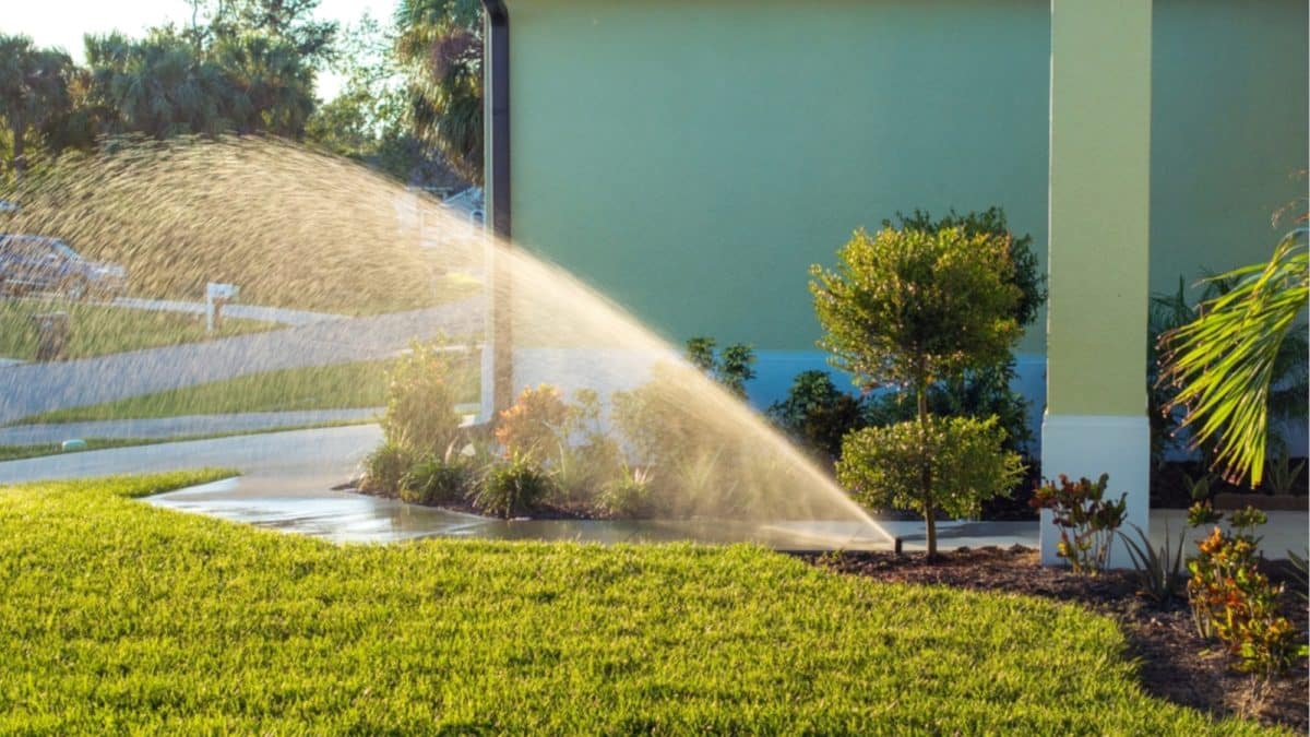 Best Practices for Watering the Lawn